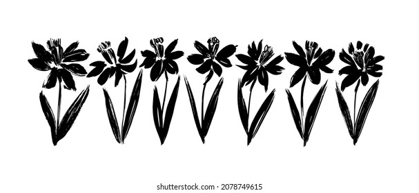 Daffodil or narcissus flower silhouettes. Hand Drawn botanical Illustration. Vector black silhouettes of spring flowers isolated on a white background. Narcissus blossom on stems with leaves.