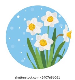 Daffodil one point vector illustration
