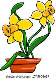Daffodil in pot , illustration, vector on white background