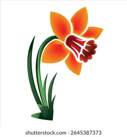 Daffodil Silhouette Vectors on white background 