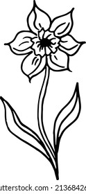 flor de primavera daffodil sobre fondo blanco