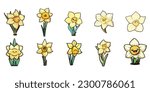 Daffodil vector set collection graphic clipart design