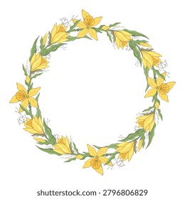 Daffodil wreath isolated on white background. Narcissus flower template. Vector hand drawn floral round frame. For cards, invitations, save the date cards