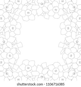 Daffodill - Narcissus Outline Border on White Background. Vector Illustration.