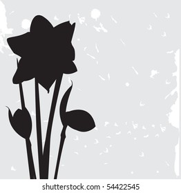 Daffodills on grunge background. Vector illustration