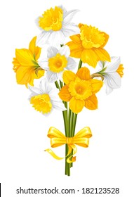 Daffodils. Beautiful spring flowers, isolated on white background. Vector illustration.