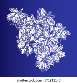 Daffodils bouquet illustration