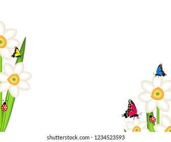 Daffodils with butterflies background