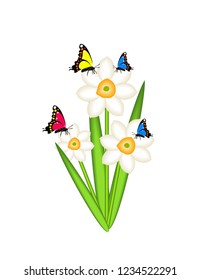 Daffodils with butterflies on white background