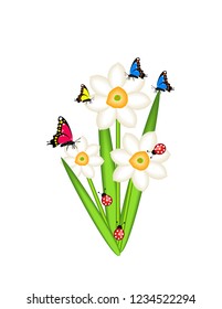 Daffodils with butterflies on white background