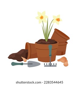 Daffodils en una olla de arcilla. Potes con herramientas de tierra y jardín. Una olla invertida con tierra derramada. Herramientas de jardín. Bombillas de narciso para plantar