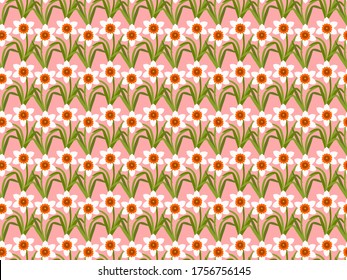 Daffodils field on pink background. White narcissus flowers theme. Floral seamless pattern. Flat design. Botanical illustration.