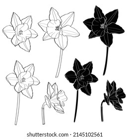 Flores de folletos dibujando. Conjunto floral dibujado a mano. Esbozo botánico de tinta negra. Ideal para invitaciones, tarjetas de felicitación, decoración. 