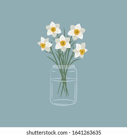 Daffodils in a glass jar. White daffodils with leaves. Spring flowers. Floral composition. Vector illustration on a blue background