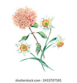 Daffodils and hydrangea. Beautiful bouquet of flowers. Vector illustration for birthday cards, spring holidays, Easter, invitations, banners, posters, labels, packaging.