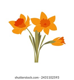 Daffodils Isolated. Floral design elements. Flat Graphic Vector Illustration.