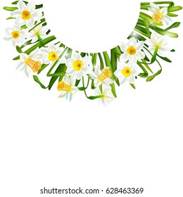 Daffodils. Narcissus. Beautiful Spring Floral Background Postcard. Wedding Decorations. Card. Wreath.