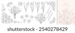 Daffodils or narcissus set, black outline isolated on white. Hand drawing line sketch of buds, single plant on stem, bouquet and corner frame. Vector clipart for Easter and spring floral design.