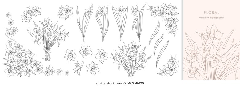 Narcisos o narciso conjunto, contorno negro aislado en blanco. Dibujo a mano de bosquejo de líneas de cogollos, una sola planta en el tallo, ramo y marco de esquina. Clipart de Vector para el diseño floral de Pascua y primavera.