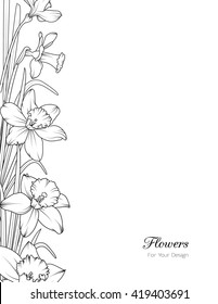 Daffodils narcissus spring flowers. Vertical layout cover design element. Black and white vector illustration.