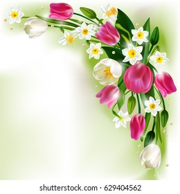 Daffodils. Narcissus.Tulips Vector illustration. Springtime. Realistic Flowers. Wedding Decorations. Card