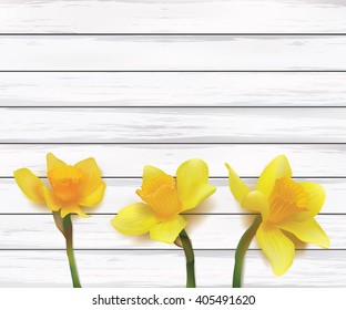 Daffodils on a white wooden board. Realistic vector. View from above