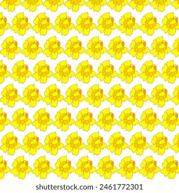 Daffodils, pattern of daffodils on a white background