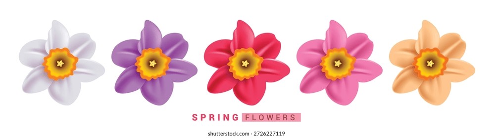 Conjunto de Clipart de flores de primavera de narcisos. Narciso 3d Flores de colores arte de Clip con blanco, violeta, rojo, rosa y naranja color de narcisos Primavera decoración floral Elementos Ilustración vectorial de colección.
