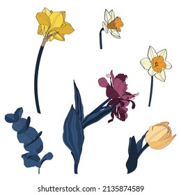 Daffodils, tulips flowers drawing. Hand drawn floral set. Botanical black ink sketch. Great for invitations, greeting cards, decor. Simple colored flowers.