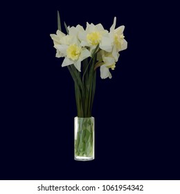 daffodils in a vase, low poly, triangulation, flowers on a dark background