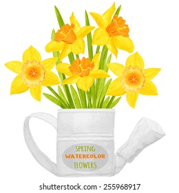 Daffodils in a watering can. Watercolor vector illustration. Floral design elements. Global color used.