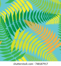 Dagger fern