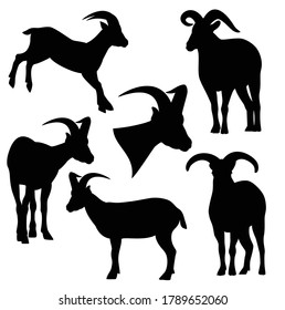 daghestan tur black and white vector silhouette set - standing and jumping mountain goats outline collection