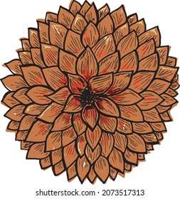 Dahlia Botanical Sketch illustration. Vector Dahlia Flower isolated on white background. Can be used for greeting cards, flyers, invitations, web design, etc. Hand drawn vintage art