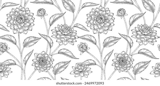 Dahlia floral pattern black and white illustration