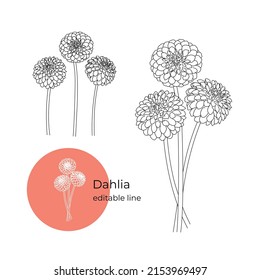 Dahlia flower was drawn in a minimalistic style with a line. Part of the collection of main flowers. Editable line.