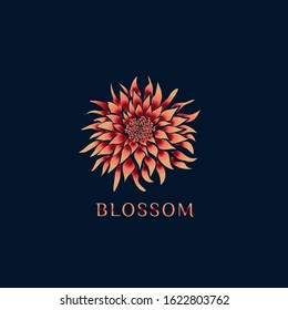Dahlia flower illustration on dark background with text. Blooming petals logo and branding design. Usable for greetings cards also. Symbol of elegance and good taste.