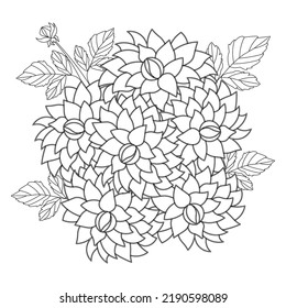 dahlia flower illustration with pencil stroke in doodle art design of coloring page design. dahlia flower black and white line art. garden dahlia flower illustration with leaves.