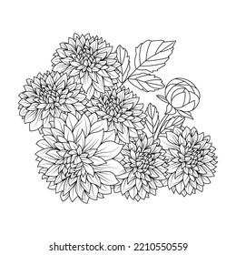 dahlia flower illustration with pencil stroke in doodle art design of coloring page design. dahlia flower black and white line art. 