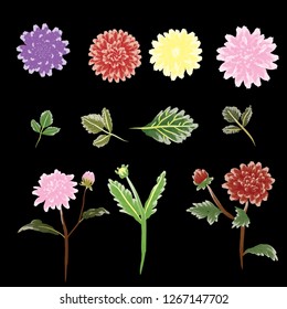 dahlia flower and leaf element, colorful floral vector, dahlias illustration watercolor style, pink purple yellow red  green plants, black solid background