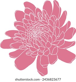Dahlia flor vector elemento. Diseño de estampado floral.