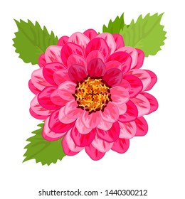 Dahlia flower, vector image, closeup.