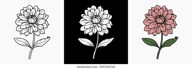 Dahlia Flower vector on white isolated background. beautiful botanical illustration. Decorative floral silhouette.