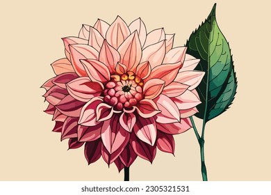 Dahlia flower watercolor floral design illustration. 