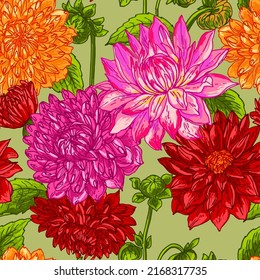 Dahlia Flowers Color Drawn On A White Background. Vector Sketch Of Flowers.