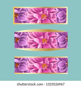 dahlia flowers with frame. isolated