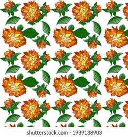 Flores dahlia con hojas en vector. 