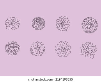 Dahlia Flowers Outline Illustration Collection.flowers Line Art Icon Set