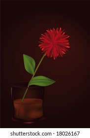 dahlia in a glass