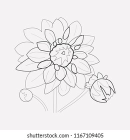 Dahlia icon line element. Vector illustration of dahlia icon line isolated on clean background for your web mobile app logo design.